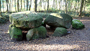 Großsteingrab Hünensteine